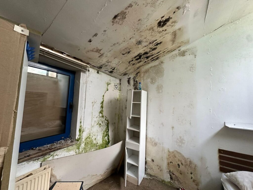 Plafond et murs couverts de taches noires et vertes d'humidité, dans une chambre d'une maison visitée en Belgique